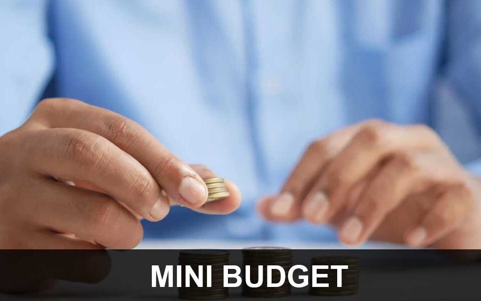 Mini Budget