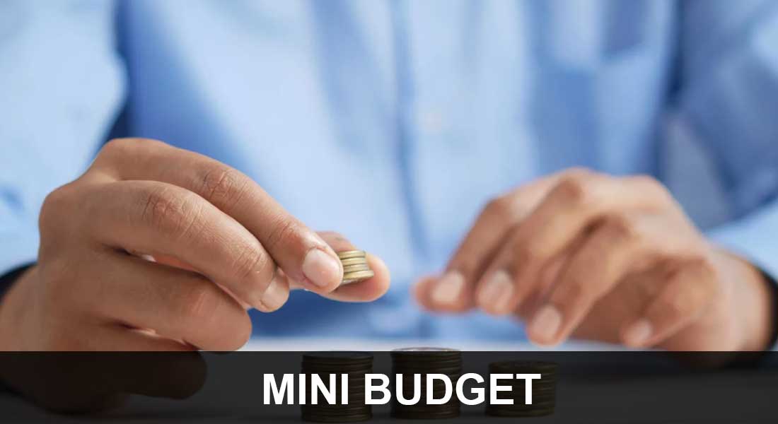 Mini Budget
